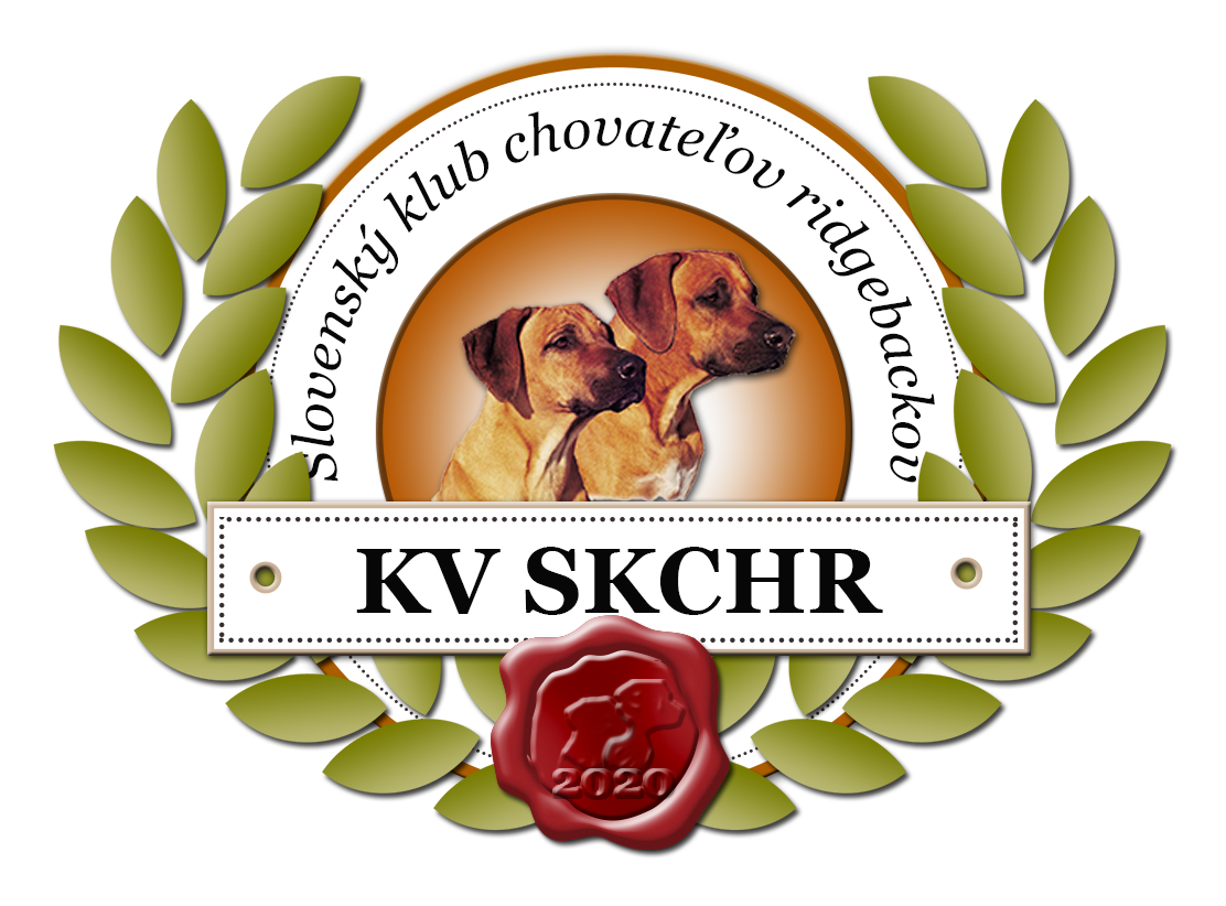 logo_KV_2020.png