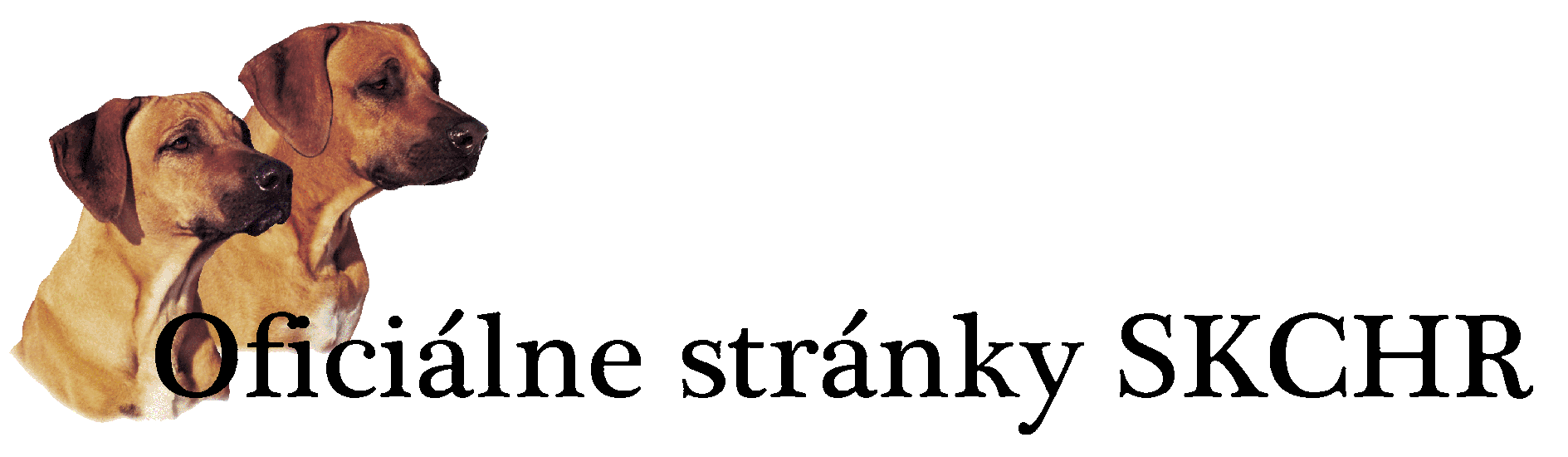 skchr-logo2.png