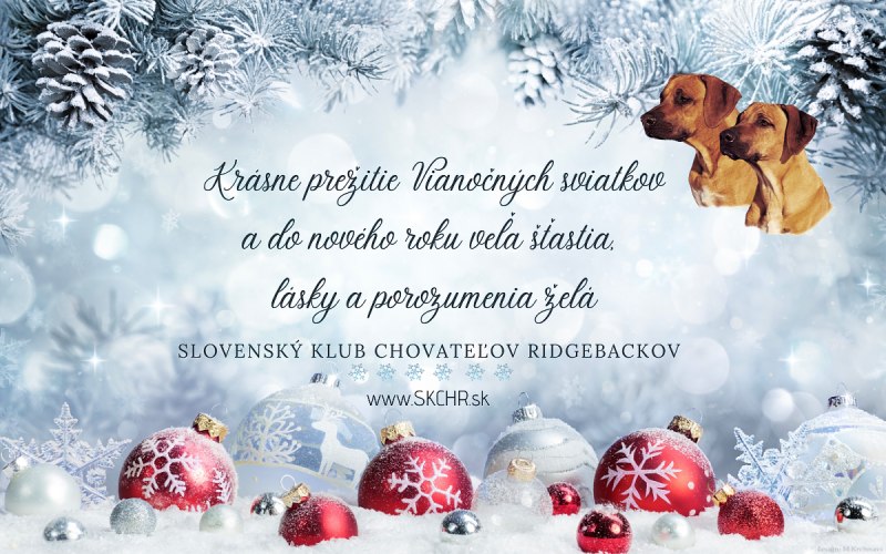 PF2020-SKCHR.jpg