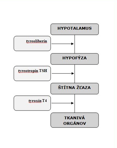 hypotyreoza.JPG