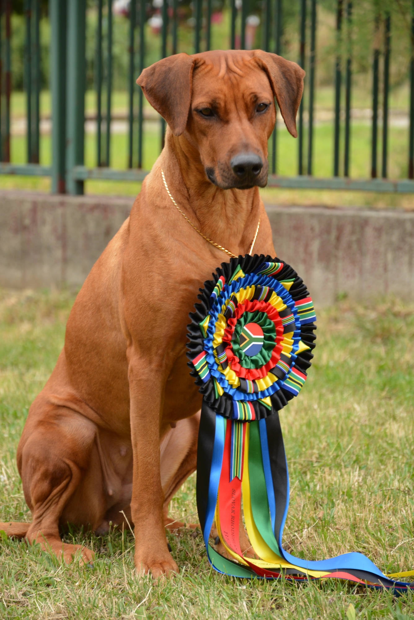 Zahra3-002.jpg