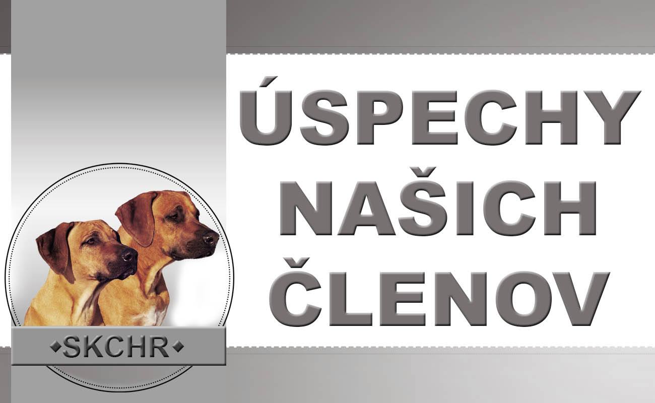 baner_uspechy-nasich-clenov.jpg