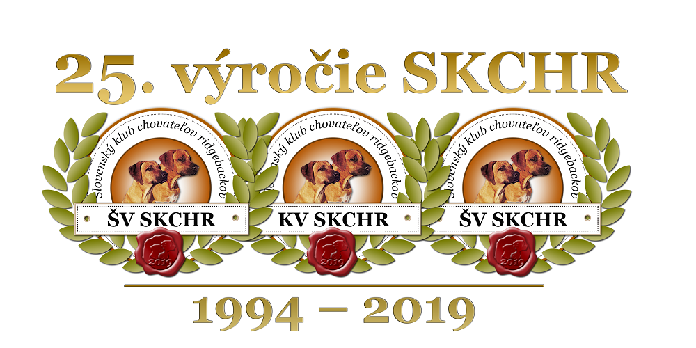 logo_3x_25vyrocie_web.png