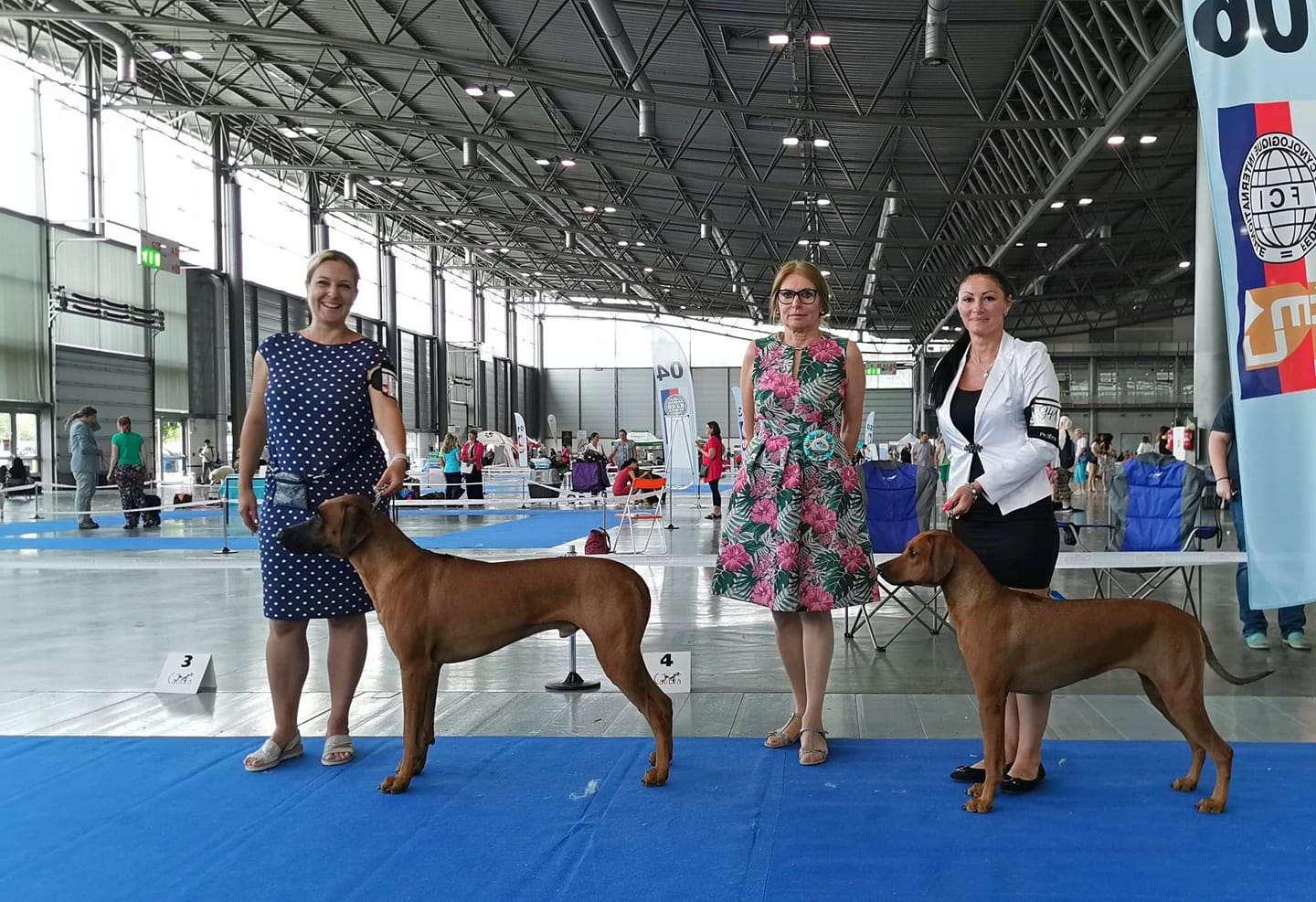 CACIB_Brno_2019_BOB_BOS.jpg